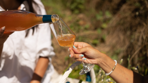 An orange extravaganza of flavours and aromas
