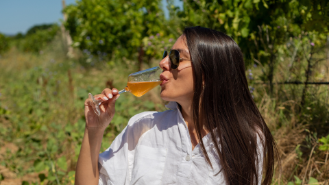 An orange extravaganza of flavours and aromas