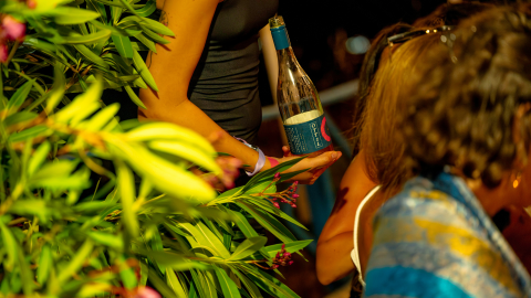 An orange extravaganza of flavours and aromas