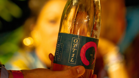 An orange extravaganza of flavours and aromas